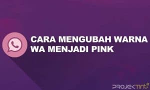 Cara Mengubah Warna Whatsapp Menjadi Pink Tanpa Aplikasi