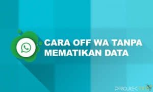 Cara OFF WA Tanpa Mematikan Data Seluler